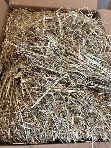 Box filled with straw or hay